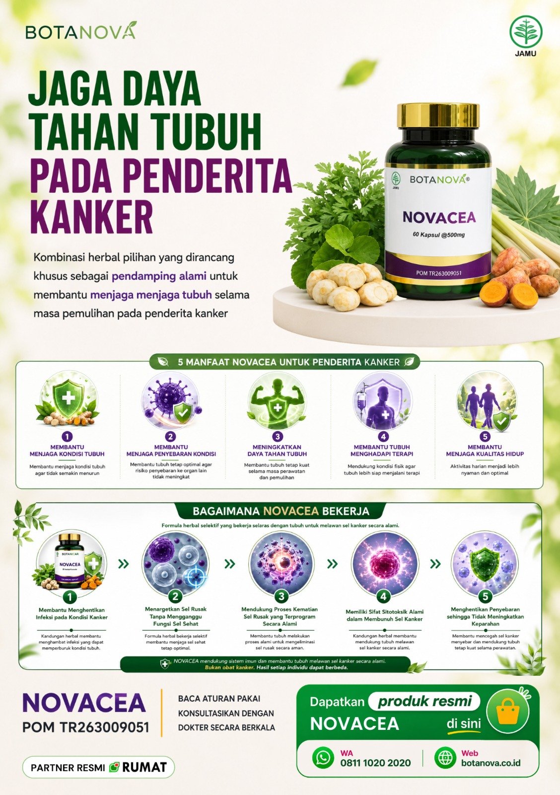 Novacea